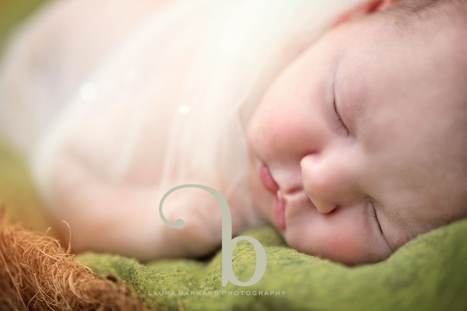 Newborn session, photo 1.
