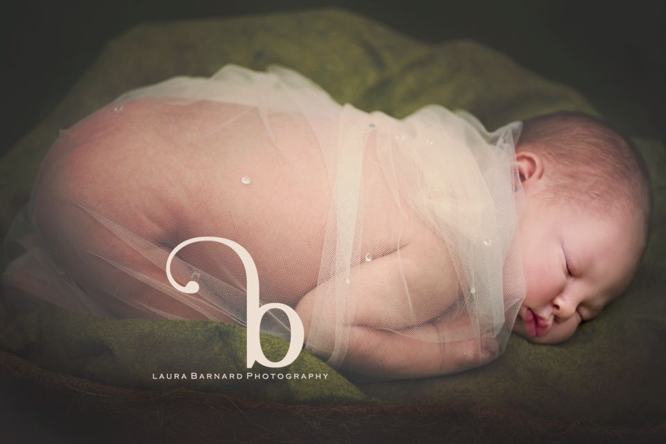 Newborn session, photo 2.